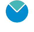 Magn Intelligence - Logo